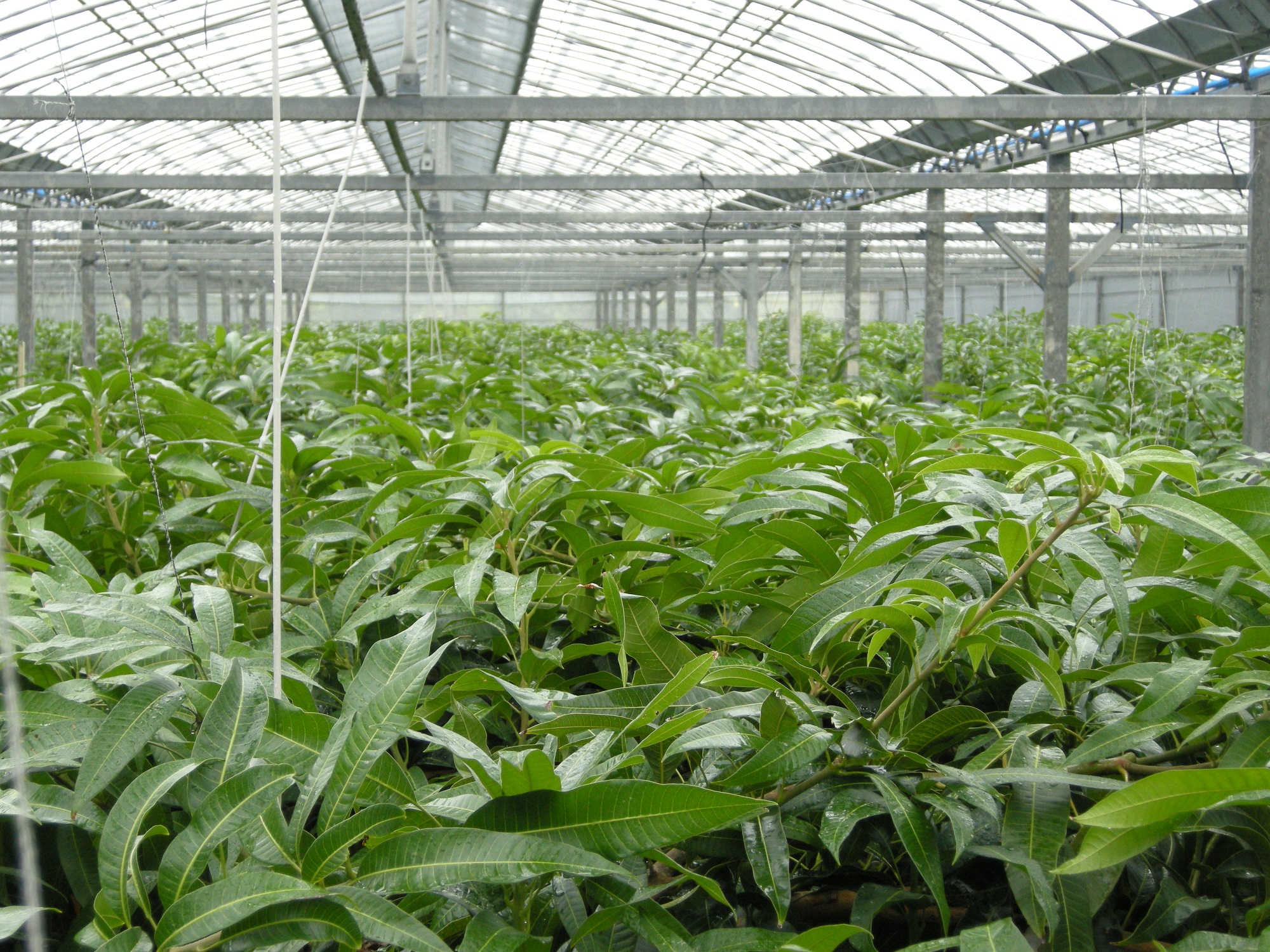 Agri Manager 活用