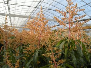 Agri Manager Field Management